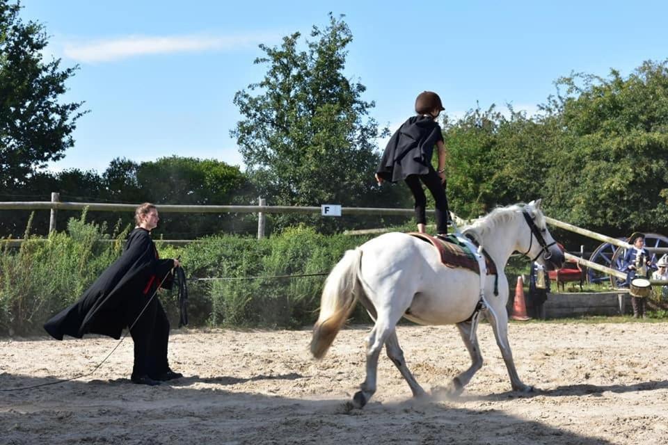 Ecuries Leseigneur - Camping Insolites Bolleville  Dış mekan fotoğraf