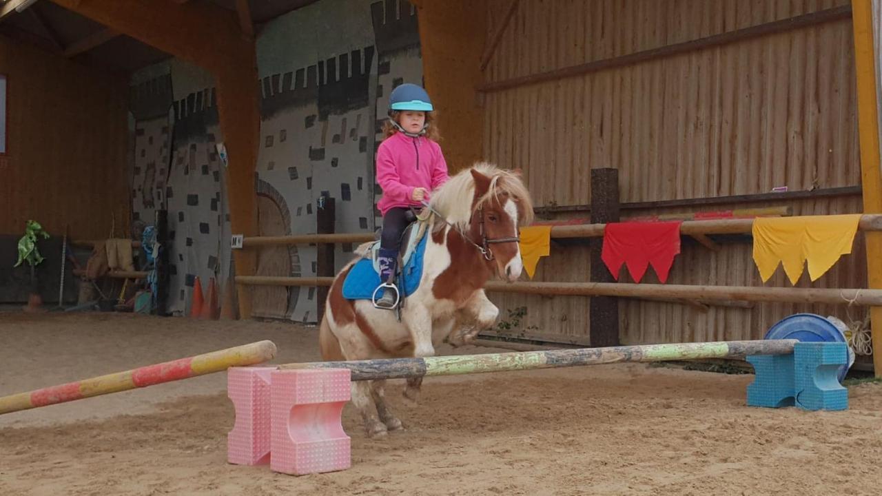 Ecuries Leseigneur - Camping Insolites Bolleville  Dış mekan fotoğraf