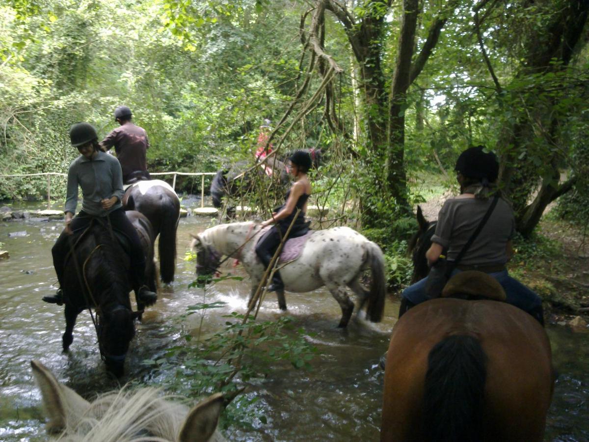 Ecuries Leseigneur - Camping Insolites Bolleville  Dış mekan fotoğraf