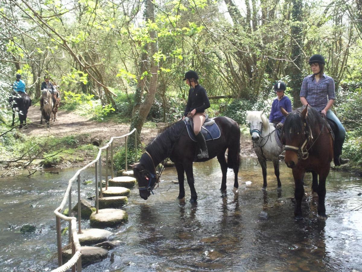 Ecuries Leseigneur - Camping Insolites Bolleville  Dış mekan fotoğraf