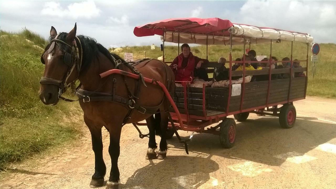 Ecuries Leseigneur - Camping Insolites Bolleville  Dış mekan fotoğraf